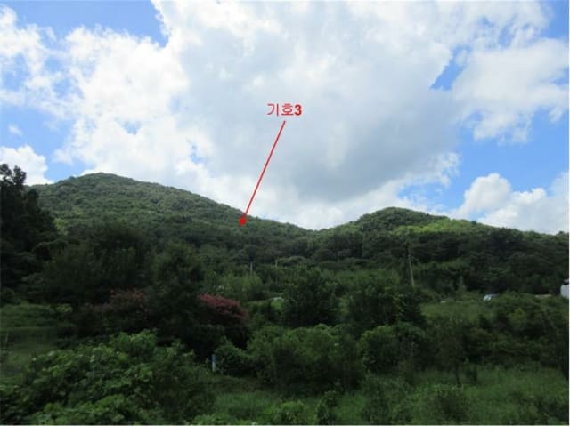 B0005102024013007838350.jpg