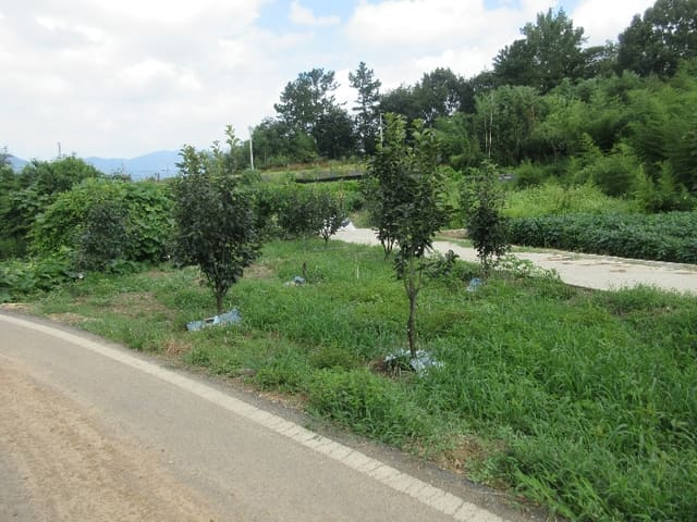 B0005102024013007838349.jpg