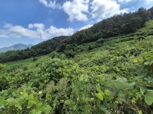 B000510202401300792563.jpg