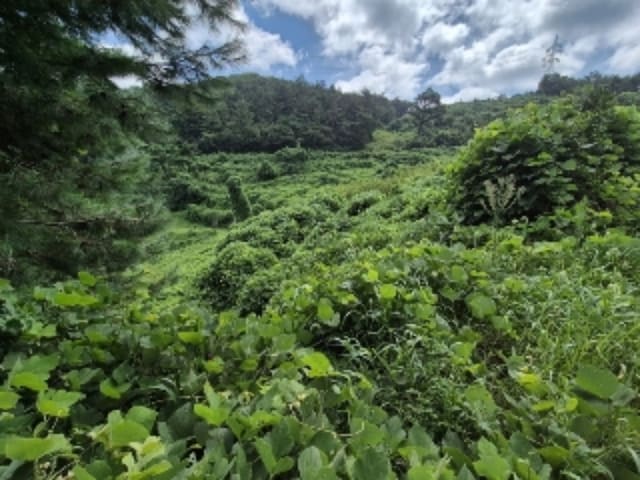 B000510202401300792562.jpg