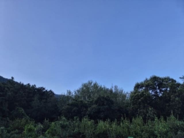 B000510202401300802702.jpg