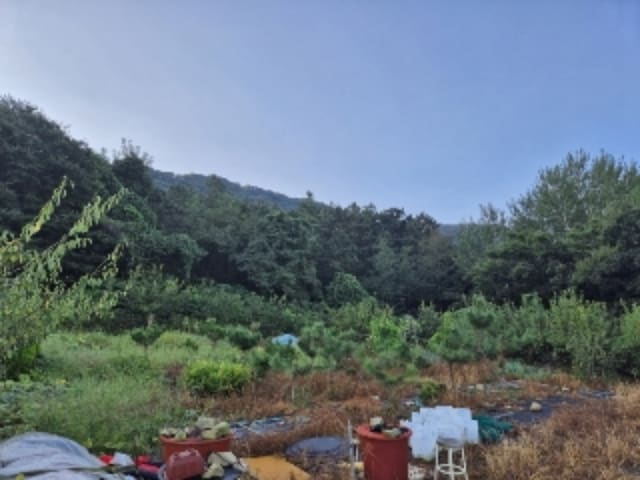 B000510202401300802701.jpg