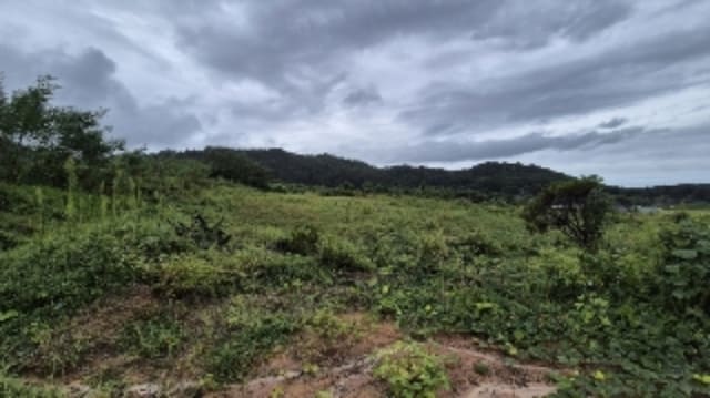 B0005102024013008057748.jpg