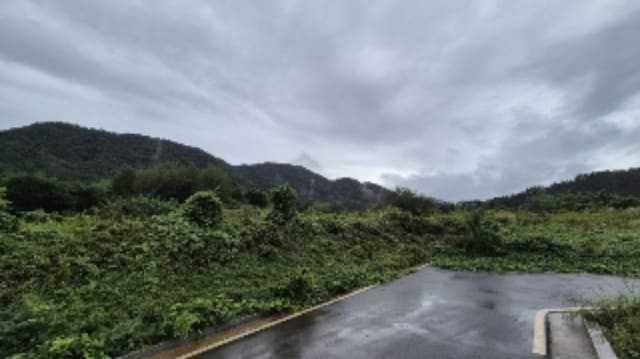 B0005102024013008057749.jpg