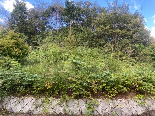 B000510202401300816004.jpg