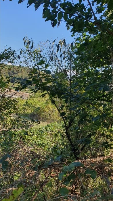B0005102024013008514520.jpg