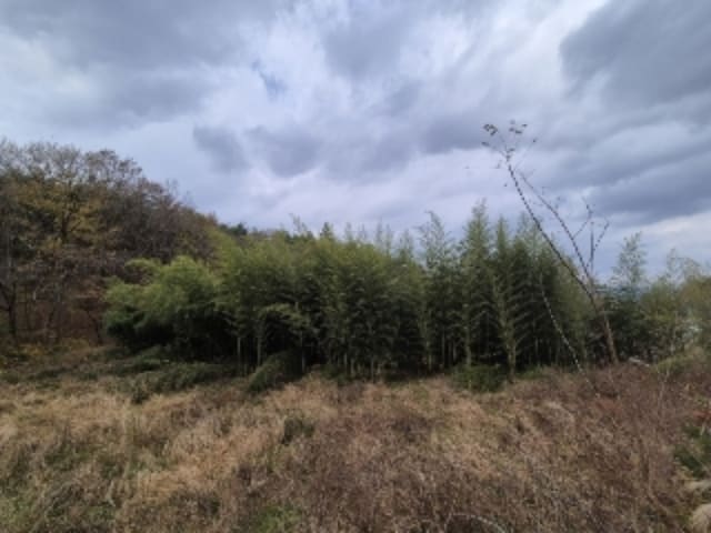 B000510202401300864453.jpg