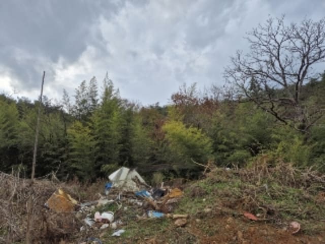 B000510202401300864452.jpg