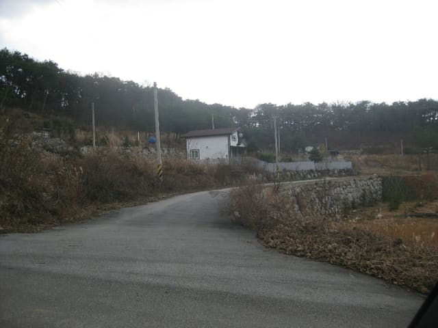 B000510202401300869404.jpg