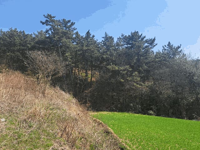 B0005102025013000159513.jpg