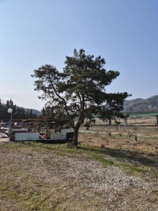 B000510202501300018473.jpg