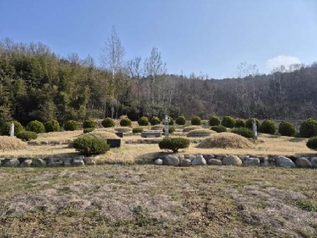B000510202501300018471.jpg