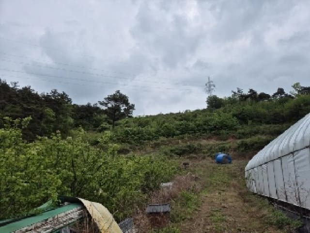 B000510202501300021163.jpg