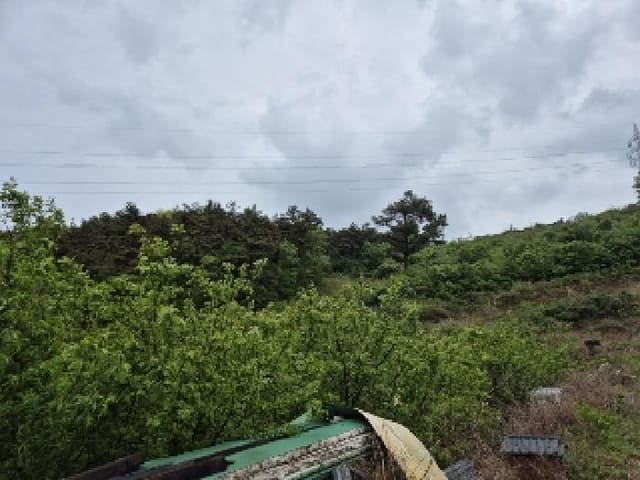 B000510202501300021164.jpg