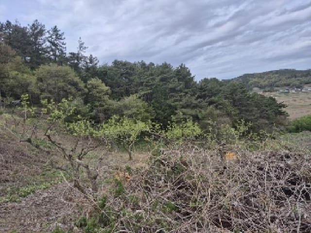 B000510202501300022911.jpg