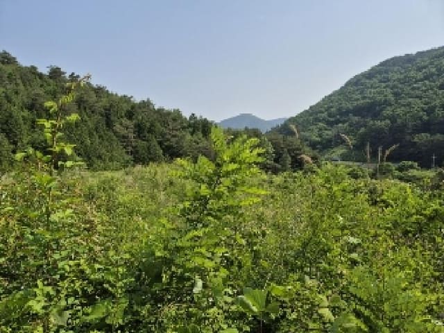 B000510202501300028641.jpg