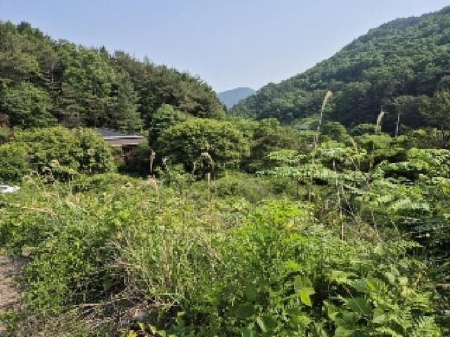 B000510202501300028644.jpg