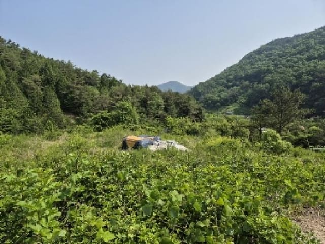 B000510202501300028642.jpg