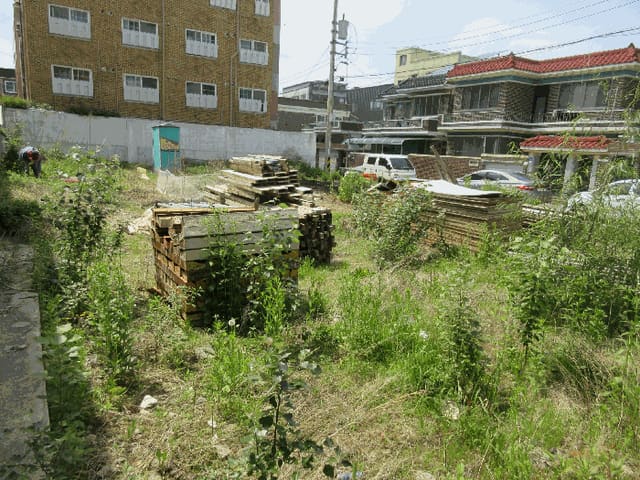 B000510202501300030104.jpg