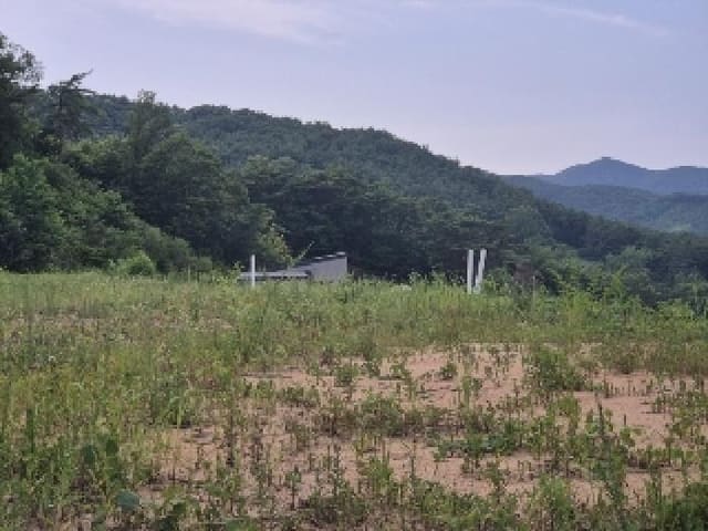 B000510202501300037511.jpg