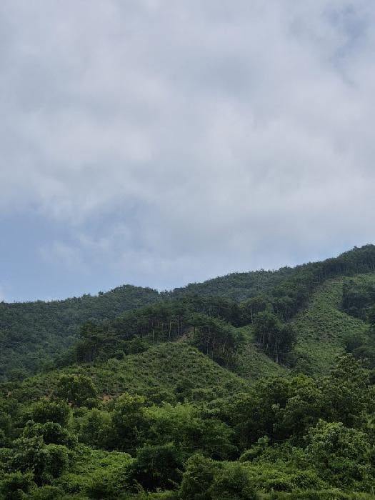 B000510202501300041501.jpg