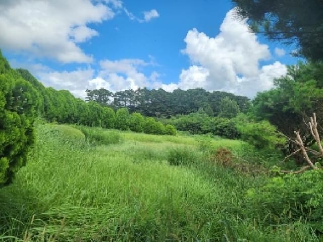 B000510202501300042804.jpg