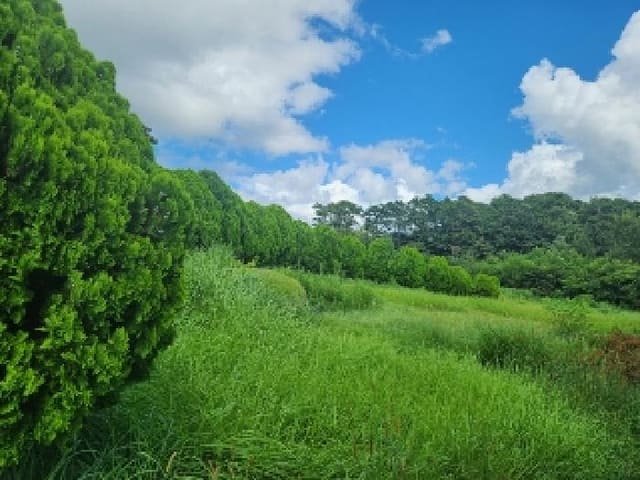 B000510202501300042803.jpg