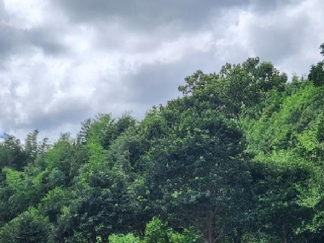 B000510202501300043892.jpg