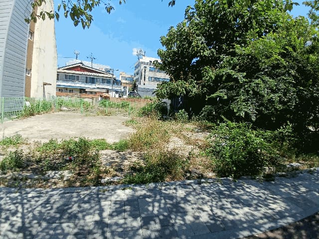 B000510202501300045634.jpg