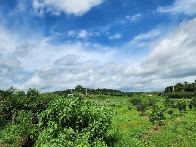 B000510202501300047611.jpg