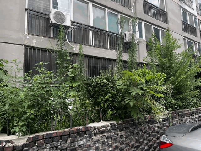 B000510202501300049144.jpg