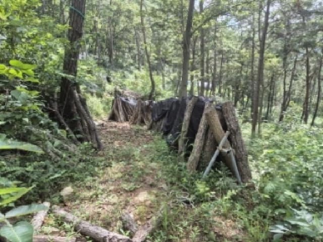 B000510202501300049832.jpg