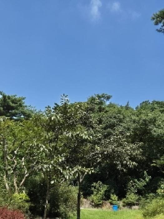 B000510202501300050301.jpg