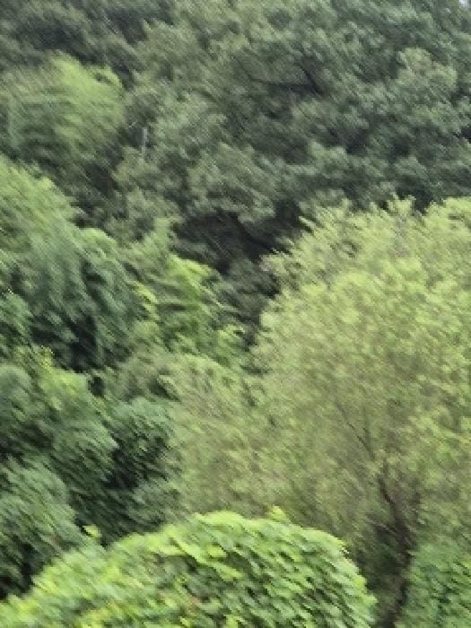 B000510202501300052904.jpg
