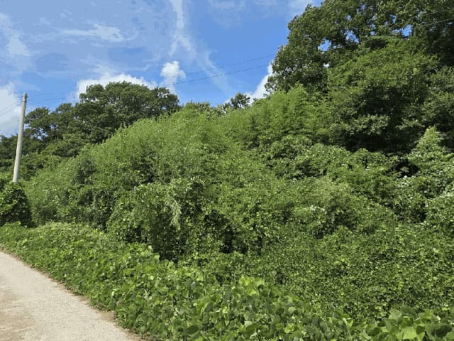 B0005102025013000529018.jpg