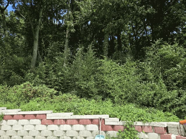 B0005102025013000529019.jpg