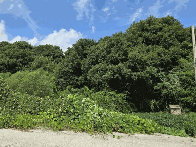 B0005102025013000529021.jpg