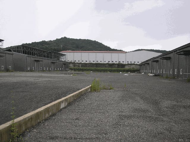 B0005102025013000561046.jpg
