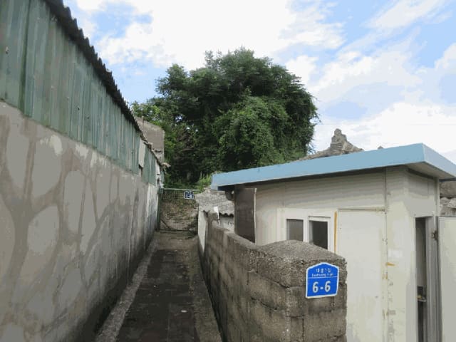 B000510202501300059173.jpg