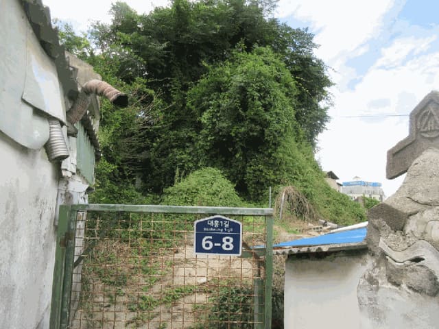 B000510202501300059174.jpg