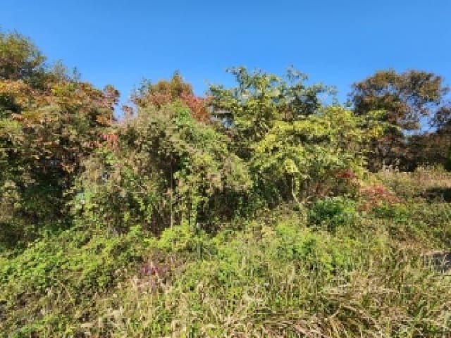 B000510202501300059933.jpg