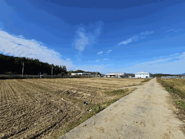 B0005102025013000599320.jpg