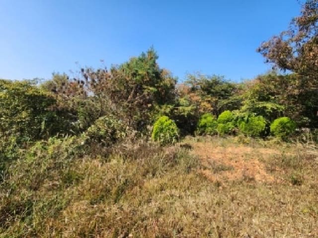 B000510202501300059934.jpg