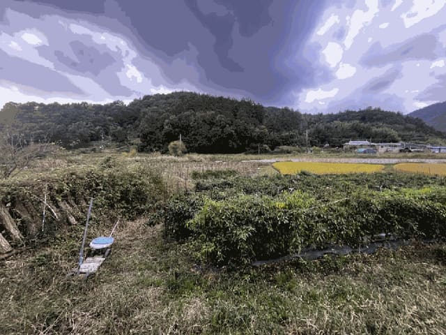 B0005102025013000609511.jpg