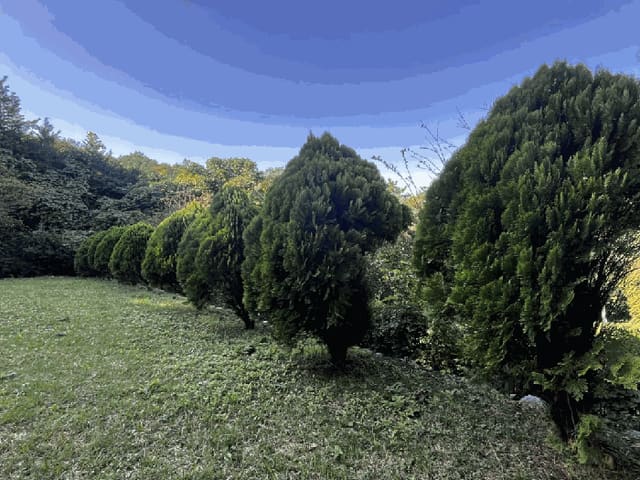 B000510202501300060959.jpg