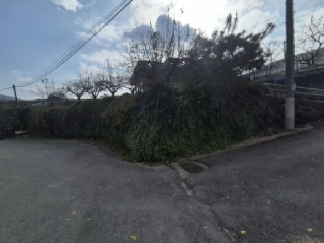 B000510202501300065762.jpg