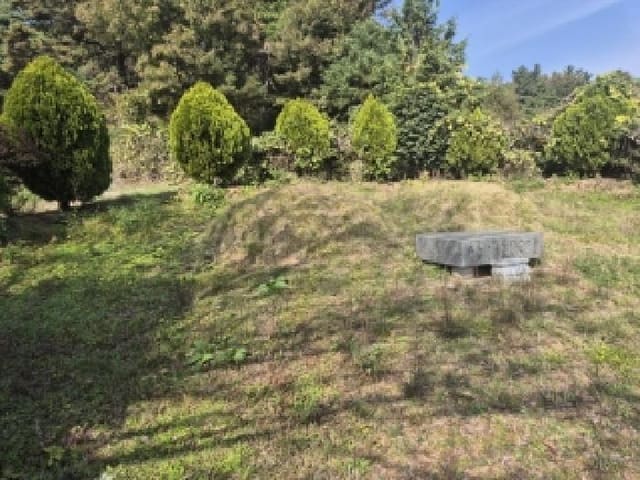 B000510202501300066134.jpg