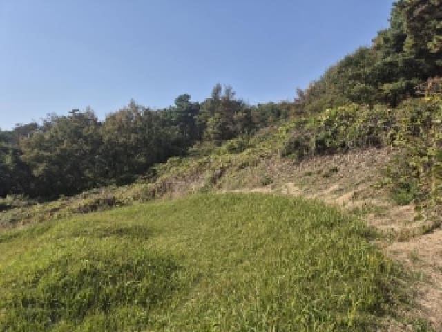 B000510202501300066131.jpg