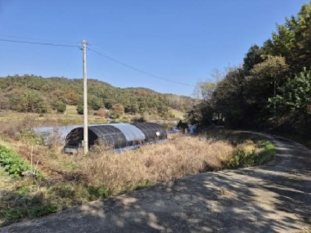 B000510202501300068974.jpg