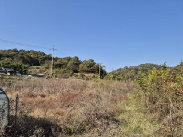 B000510202501300068971.jpg